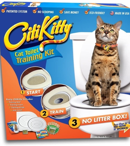 CitiKitty-1-1.jpg