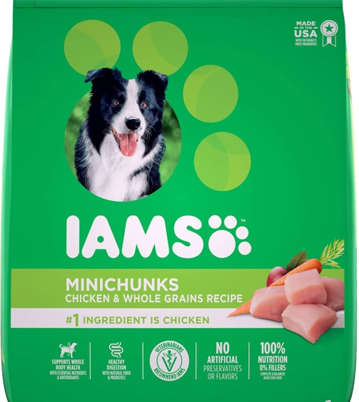 IAMS-1-1.jpg