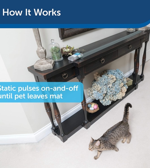 PetSafe-2-1.jpg